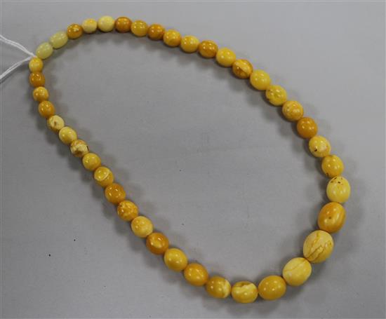 A single strand graduated amber bead necklace, gross weight 19 grams, 38cm.